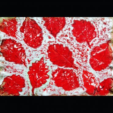 La Provence de Matisse