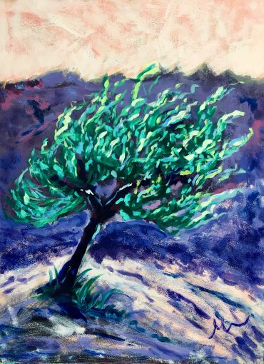 Olivier Des Alpilles